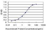 CITED1 Antibody in ELISA (ELISA)