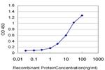 MSMB Antibody in ELISA (ELISA)