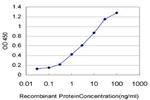 MYBL2 Antibody in ELISA (ELISA)