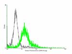 MYOC Antibody in Flow Cytometry (Flow)