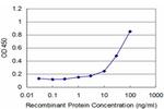 NAB2 Antibody in ELISA (ELISA)