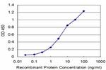 NEK2 Antibody in ELISA (ELISA)