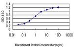 NEUROD1 Antibody in ELISA (ELISA)