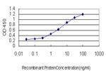 NEUROD1 Antibody in ELISA (ELISA)