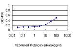 NFKBIB Antibody in ELISA (ELISA)