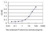 NHLH2 Antibody in ELISA (ELISA)