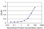 NHLH2 Antibody in ELISA (ELISA)