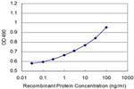 NME2 Antibody in ELISA (ELISA)