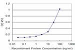 NOV Antibody in ELISA (ELISA)