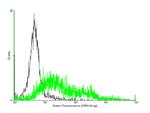 NPY5R Antibody in Flow Cytometry (Flow)