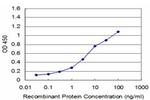 YBX1 Antibody in ELISA (ELISA)