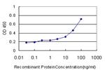 OLR1 Antibody in ELISA (ELISA)