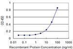 OPA1 Antibody in ELISA (ELISA)