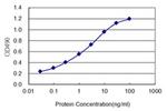 PAX2 Antibody in ELISA (ELISA)