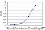 PCK1 Antibody in ELISA (ELISA)