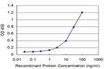 PCNA Antibody in ELISA (ELISA)