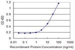 PCSK2 Antibody in ELISA (ELISA)