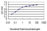 PDE1B Antibody in ELISA (ELISA)