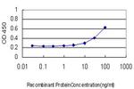 PDK1 Antibody in ELISA (ELISA)