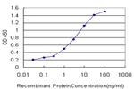 PDK2 Antibody in ELISA (ELISA)