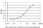 SLC26A4 Antibody in ELISA (ELISA)