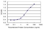 PDYN Antibody in ELISA (ELISA)