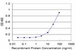 PEX14 Antibody in ELISA (ELISA)