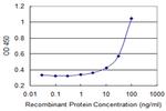 ATP8B1 Antibody in ELISA (ELISA)