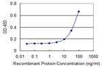 SERPINI1 Antibody in ELISA (ELISA)