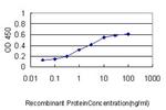 PIM1 Antibody in ELISA (ELISA)