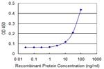 PIM1 Antibody in ELISA (ELISA)