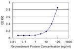 PIM1 Antibody in ELISA (ELISA)