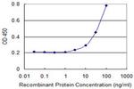 PKD2 Antibody in ELISA (ELISA)