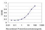 PLA2G1B Antibody in ELISA (ELISA)