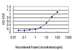 PLA2G4A Antibody in ELISA (ELISA)