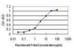 PLAUR Antibody in ELISA (ELISA)