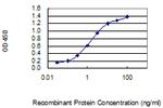 PLP2 Antibody in ELISA (ELISA)