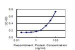 PLTP Antibody in ELISA (ELISA)