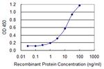 PLXNA2 Antibody in ELISA (ELISA)