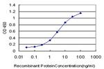 PPARBP Antibody in ELISA (ELISA)