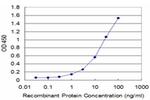 PPOX Antibody in ELISA (ELISA)