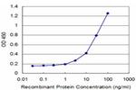 PPOX Antibody in ELISA (ELISA)