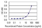 PRKCSH Antibody in ELISA (ELISA)