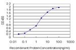 MAPK3 Antibody in ELISA (ELISA)