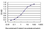 EIF2AK2 Antibody in ELISA (ELISA)