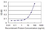 PRM1 Antibody in ELISA (ELISA)