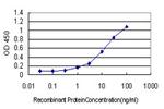 LGMN Antibody in ELISA (ELISA)