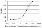 PSMD7 Antibody in ELISA (ELISA)