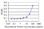 PSMD10 Antibody in ELISA (ELISA)