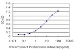 PTCH Antibody in ELISA (ELISA)